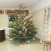 Weihnachtsfeier 2015 (4)